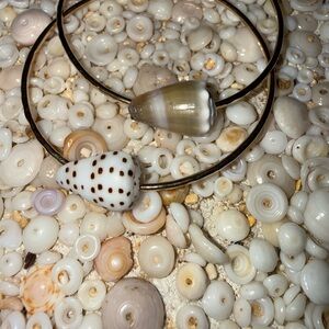 Shell bangle bracelet in 14k goldfilled wire